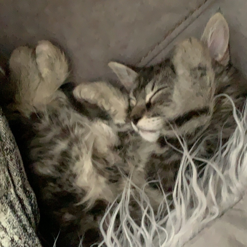 Meet your Posher, Mari